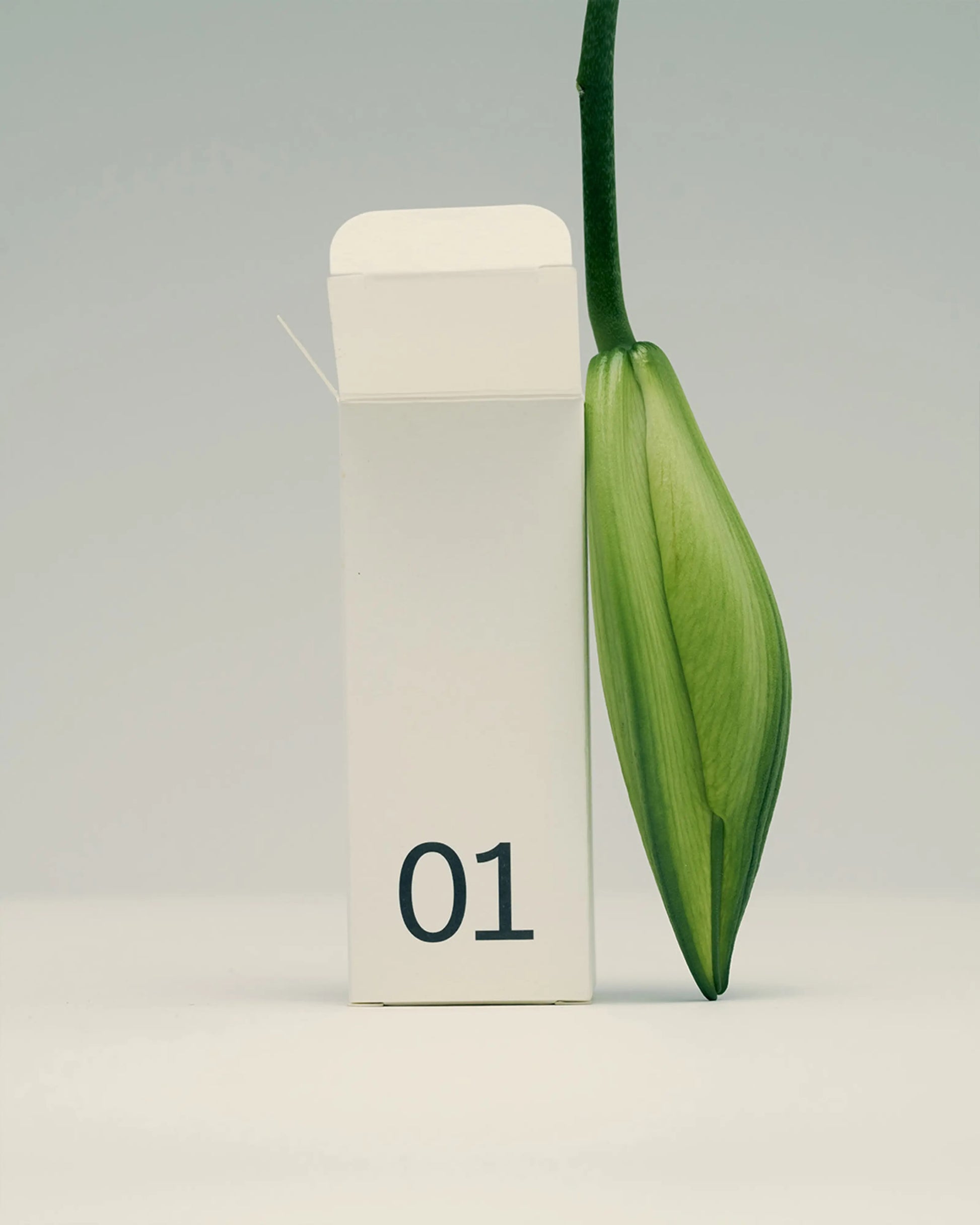 Calendrier de l’Avent Typology 2025 : 24 soins clean et vegan